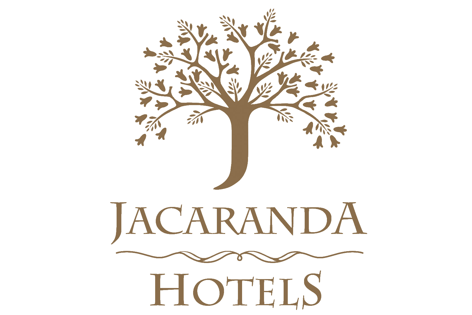 Jacaranda Logo